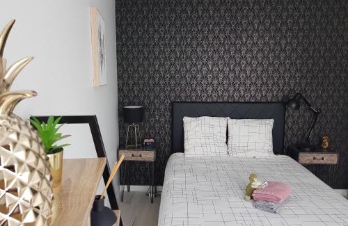 Saint-Serge Apartamento | Le Pompidou T2 pour 2 à 4 pers avec parking privé & balcon Place Ney