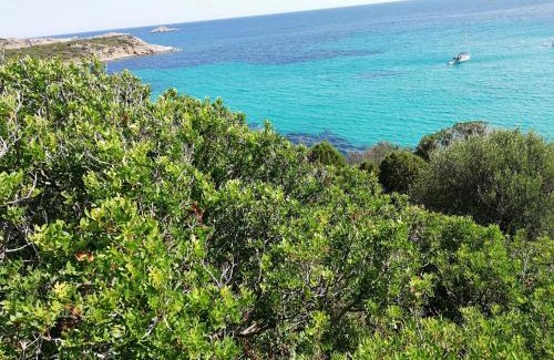 Calasetta Casa | LE SALINE