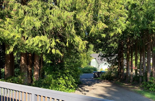 Kingston Casa | Leaning Spruce Cottage | House in Kingston