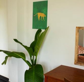 Duong To Casa | Lecolau Villa