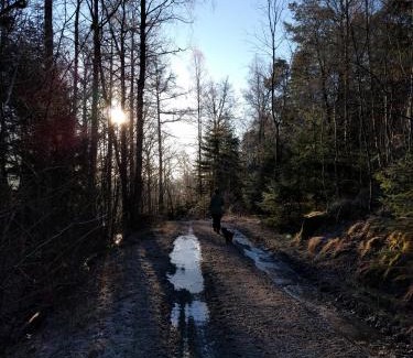 Fagerfjall Cama Y Desayuno | Lekanders Bär & Boende