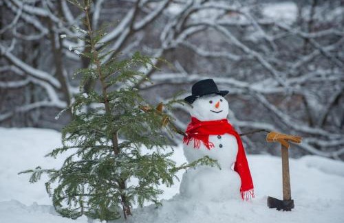 Shaver Lake Casa | Leopard Lily Lodge Luxe Stays 2 Suites Ac