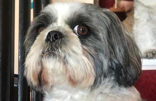 Tourrettes-sur-Loup Hotel | Les Belles Terrasses