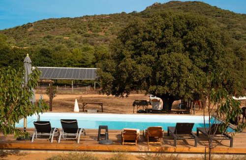 Occhiatana Chalet De Esquí | Les Chalets De Tesa