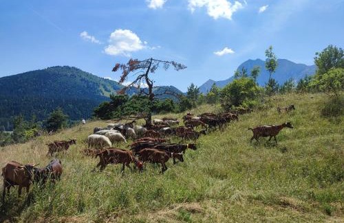 Gresse-en-Vercors Apartamento | Les Cimes - La Canopée