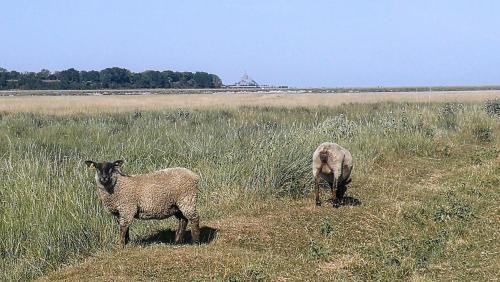 Le Val-Saint-Pere Cama Y Desayuno | Les Escales de Marion
