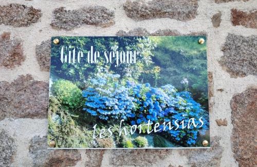 Saint-Marcan Casa | Les Hortensias