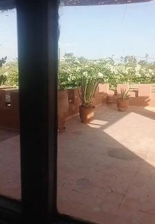 Tameslouht Casa | Les oliviers