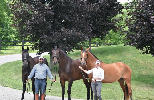 Portage Cama Y Desayuno | Letchworth Farm