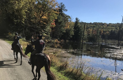 Portage Cama Y Desayuno | Letchworth Farm