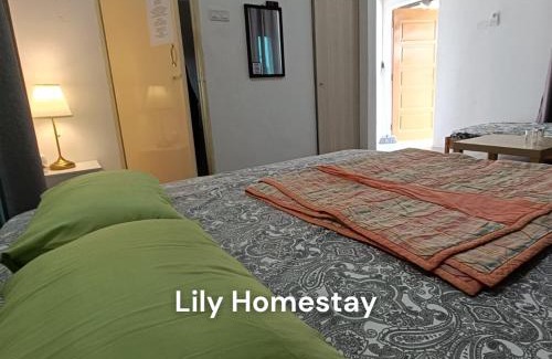 Kampung Permatang Badak Casa | Lily's Guesthouse Kuantan City