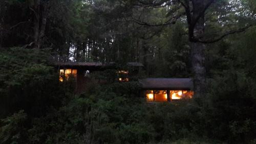 Neltume Casa | Linda Cabaña en Reserva HuiloHuilo