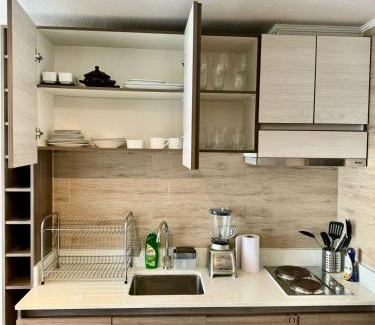 Downtown Santiago Apartamento | Lindo y cómodo apartamento en Santiago centro