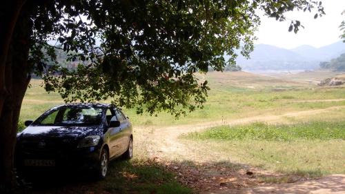 Digana Apartamento | Lion's Girl Nature Bungalow