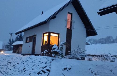 Czarna Casa | Lisia Norka