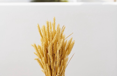 Agios Ioannis Apartamento | Lithos by Spyros & Flora