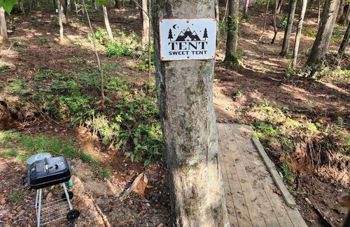 Villa Rica Alquiler De RV | Llama Retreat - wall tent in a peaceful setting