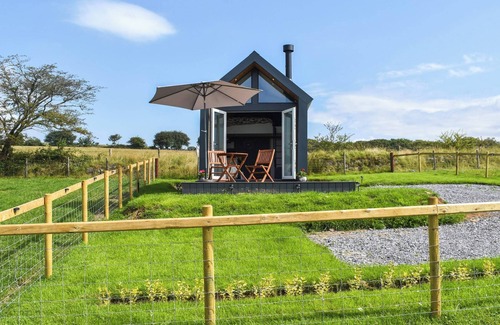 Pontardulais Cabaña | Llandremor Fawr Lodge - UK50336