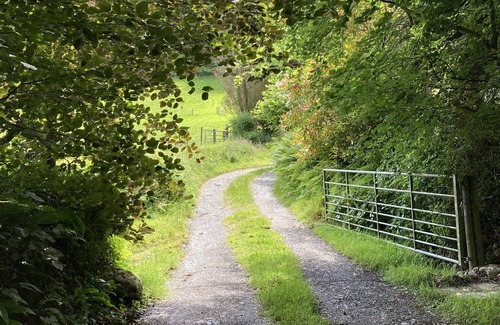 Whitland Casa | Lletty Bach - pet stays free - detached - parking - ideal location to explore