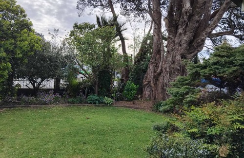 Westport Casa | LLU Homes for Explorer