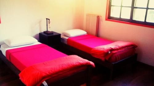 Canning Casa | Lo del Colo