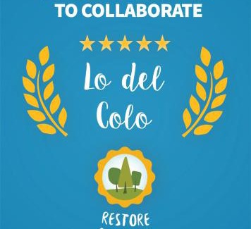 Canning Casa | Lo del Colo