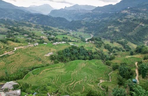 Sa Pa Chalet De Esquí | Local Homestay
