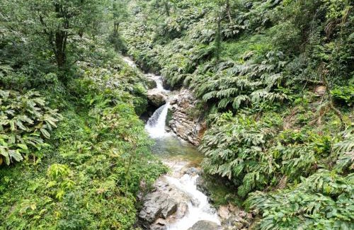 Sa Pa Chalet De Esquí | Local Homestay