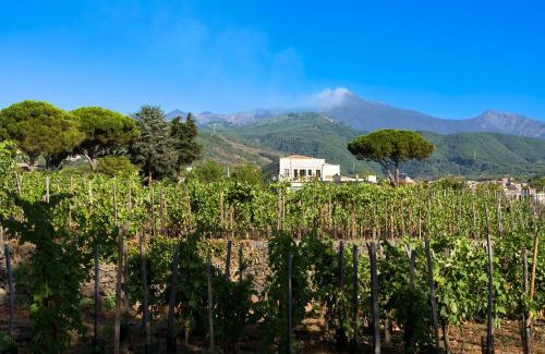 Zafferana Etnea Cama Y Desayuno | Locanda Quinto Arco