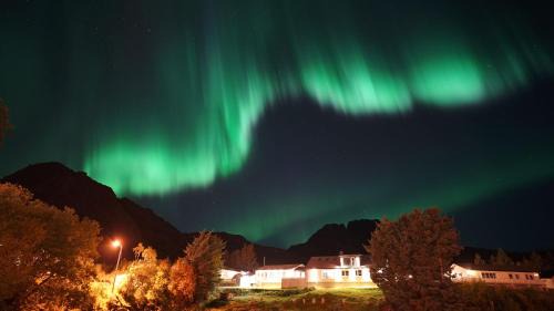 Sørvagen Cabina | Lofoten Planet - Boutique Hotel