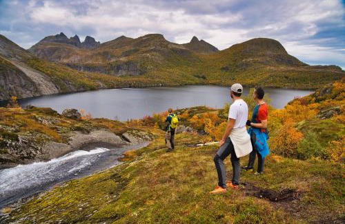Sørvagen Cabina | Lofoten Planet - Boutique Hotel