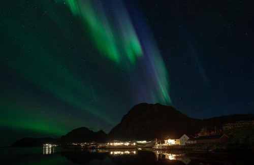 Sørvagen Cabina | Lofoten Planet - Boutique Hotel