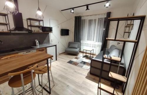 Kosuv Stary Apartamento | Loft возле парка, стадиона и озера