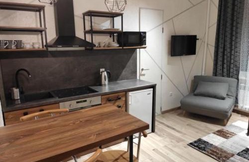 Kosuv Stary Apartamento | Loft возле парка, стадиона и озера