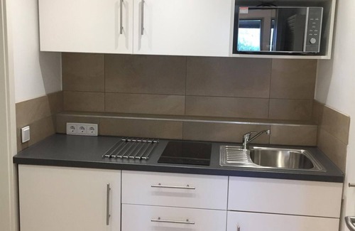 Mainz-Bingen Apartamento | Oppenheim Lofts - Loft 1 - 45 sqm/apartment, shower, WC