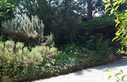 Mainz-Bingen Apartamento | Oppenheim Lofts - Loft 1 - 45 sqm/apartment, shower, WC