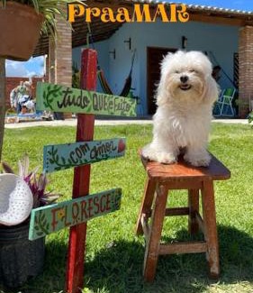 Luis Correia Apartamento | Loft Azul - Pousada Vila Dondom