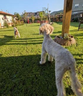 Solorzano Apartamento | Loft el Pasaje Secreto