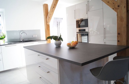 Erstein Apartamento | LOGIS DU RIED gran apartamento de 3 habitaciones 130 m² "COMFORT" a 30 minutos de Europa-Park