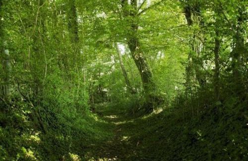 Pervencheres Casa | Longère 18ème siècle dans le Perche avec WIFI et animaux acceptés - FR-1-497-49