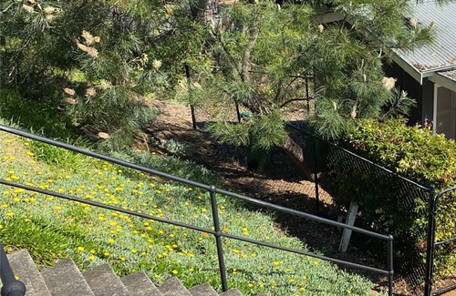 Pretty Beach Cabina | Mirador Lodge at Pretty Beach Heath Lodgers