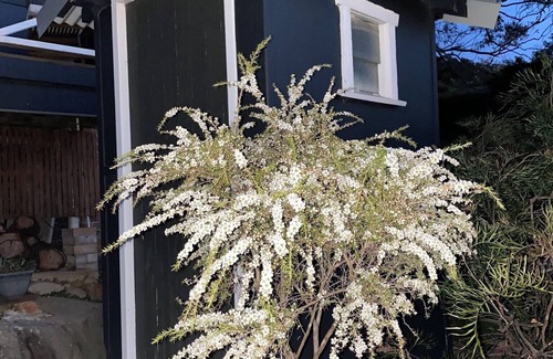 Pretty Beach Cabina | Mirador Lodge at Pretty Beach Heath Lodgers