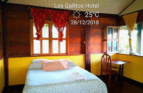 San Miguel Cabina | Los Gallitos Eco Lodge