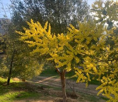 Curacavi Casa | Los Quillayes