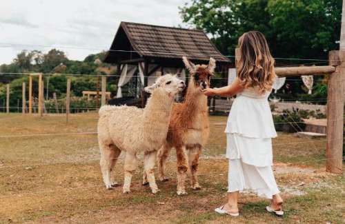 Bento Goncalves Hotel | LOTE20 Hotel Boutique