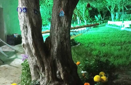 Gullubahce Casa | Lotus House