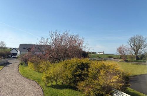 Coleraine Casa | Lougestown House