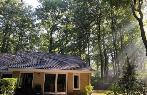Garderen Casa | Lovely Bungalow (C13) on a small wooded park