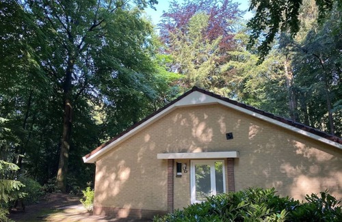 Garderen Casa | Lovely Bungalow (C13) on a small wooded park