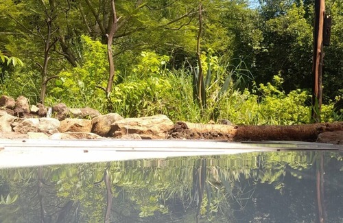 Arusha Casa | Lovely, so professional the view is breathtaking both mountain can be seen.